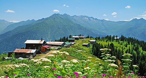 Karadeniz Yuvamız