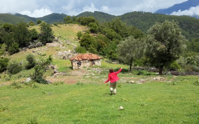 Finike Portakal Çiçeği - Likya Turu