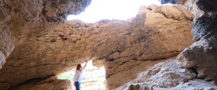 Erzincan Kış Foto Safari