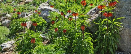Fırat Yolu Tunceli Etapları Trekking Turu