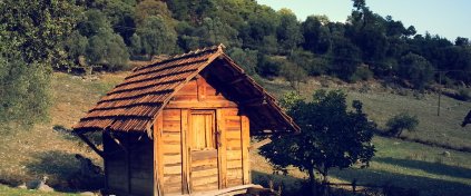 Finike Portakal Çiçeği - Likya Turu