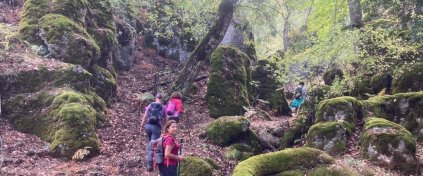 St. Paul Yürüyüşü Kısa Tur