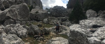 St. Paul Yürüyüşü Kısa Tur