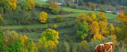 Artvin ve Şavşat'ta Sonbahar