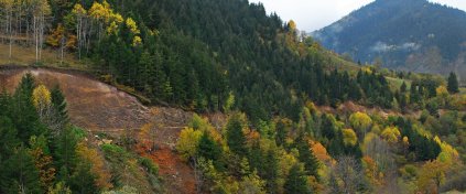 Artvin ve Şavşat'ta Sonbahar