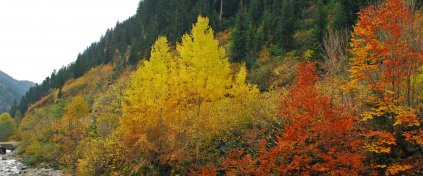 Artvin ve Şavşat'ta Sonbahar