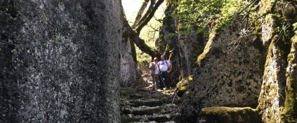 St.Paul Yolu Yürüyüşü