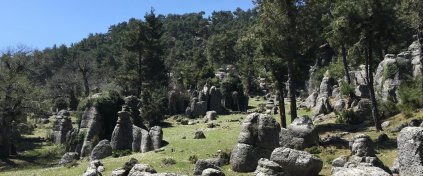 St.Paul Yolu Yürüyüşü