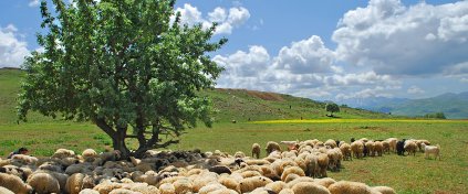 Tunceli-Ovacık-Munzur