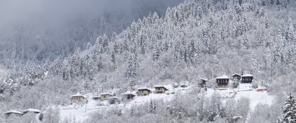 Kaçkarlar'da Kış Foto Safari