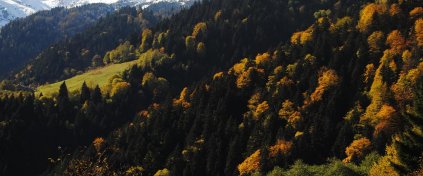 Kaçkar Eteklerinde Sonbahar