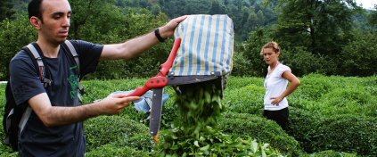 Karadeniz'de Deneyim Turu