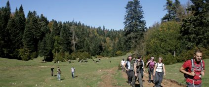Günübirlik Trekking Rotaları